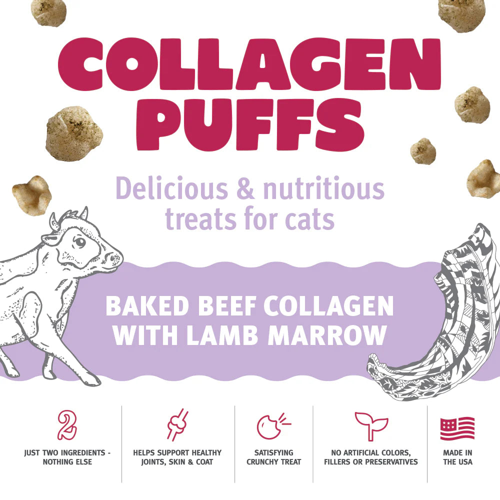 Icelandic Beef Marrow Collagen Puff Cat Treats .5oz-Four Muddy Paws