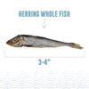 Icelandic Herring Whole Fish Cat Treats 1.5oz-Four Muddy Paws