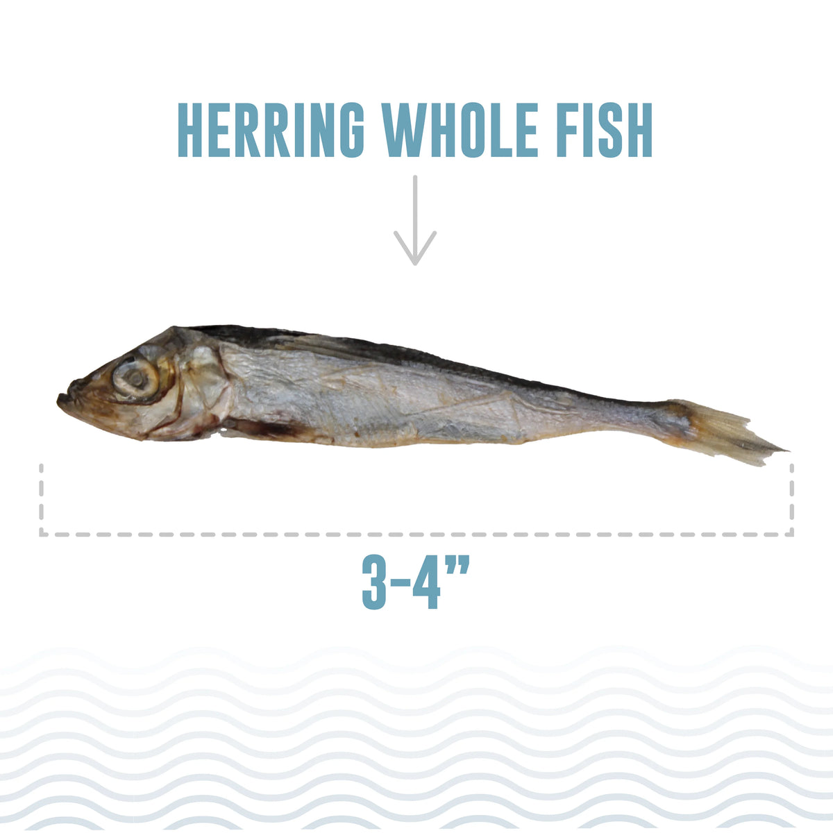 Icelandic Herring Whole Fish Cat Treats 1.5oz-Four Muddy Paws