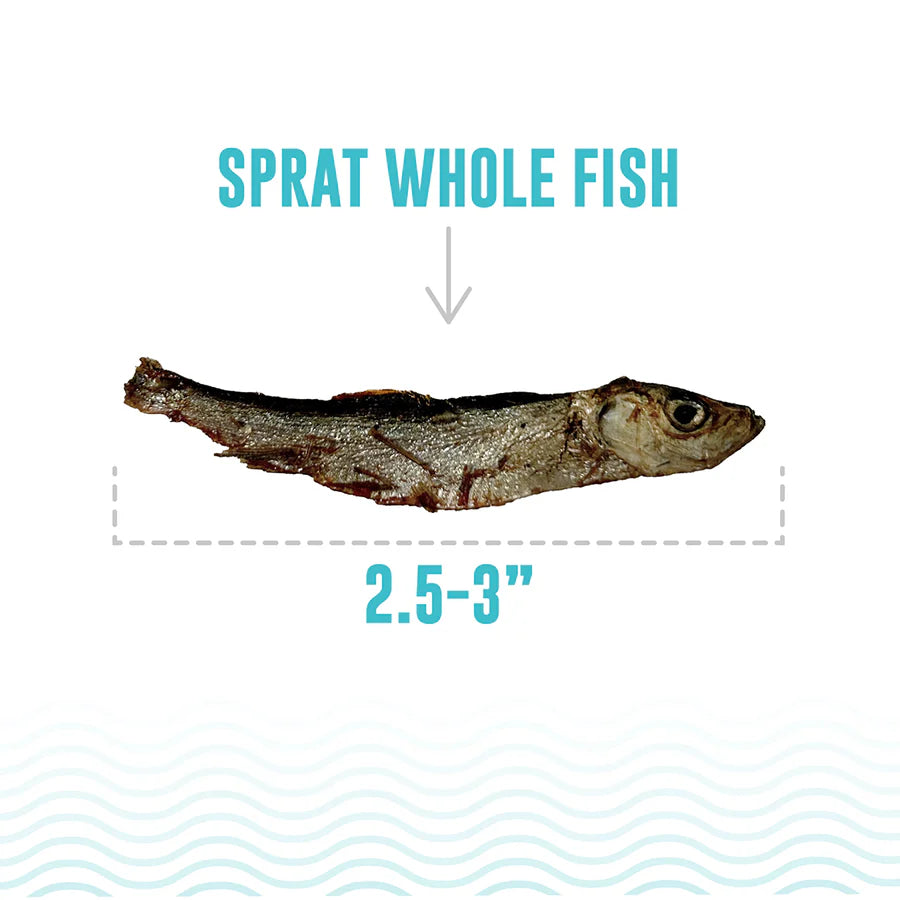 Icelandic Whole Sprat Cat Treats .85oz-Four Muddy Paws