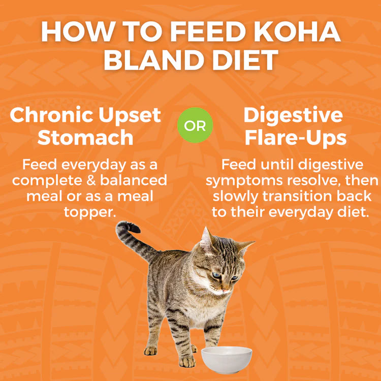 Koha Cat Bland Diet Chicken & White Rice 6oz-Four Muddy Paws