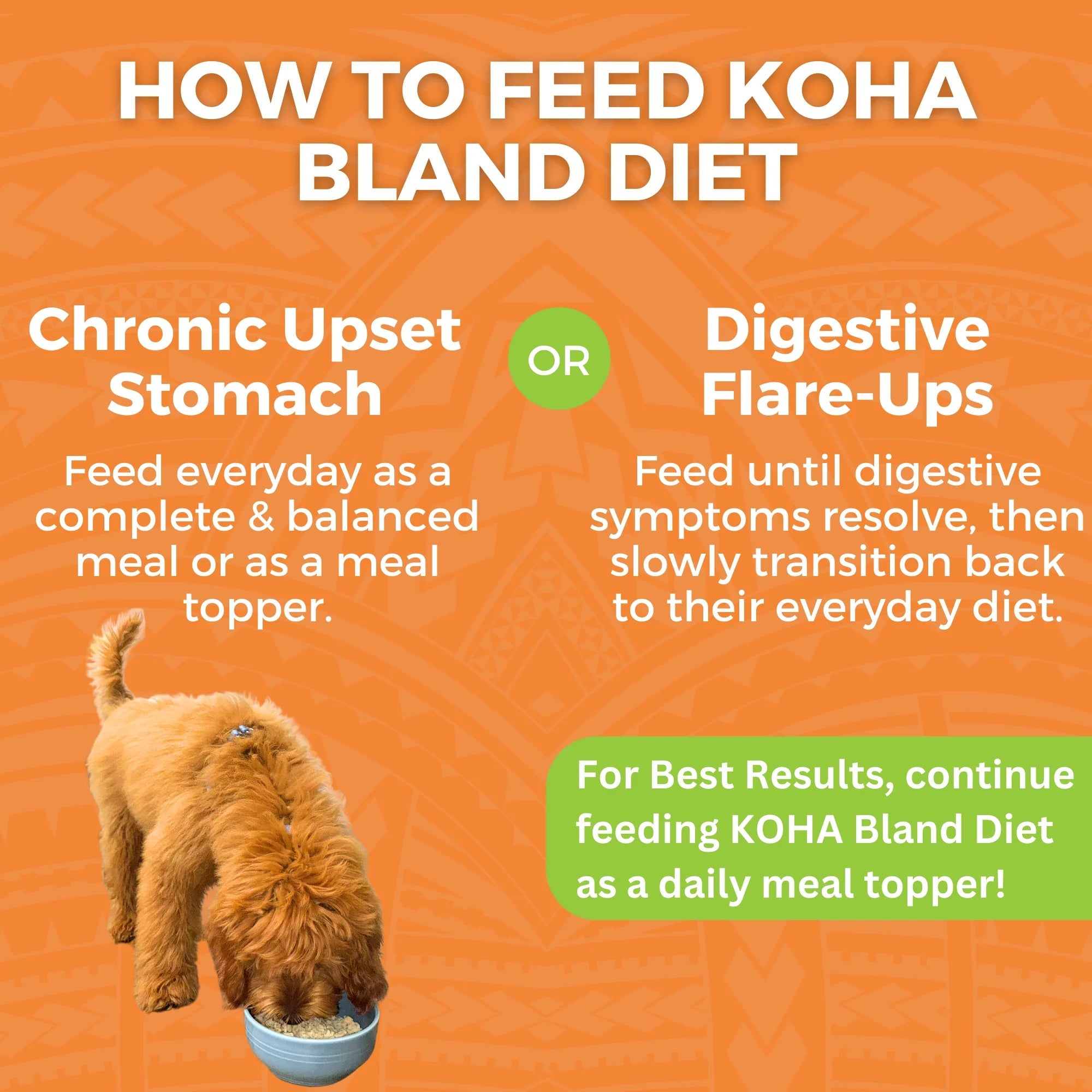 Koha Dog Bland Diet Chicken & White Rice 12.5oz-Four Muddy Paws