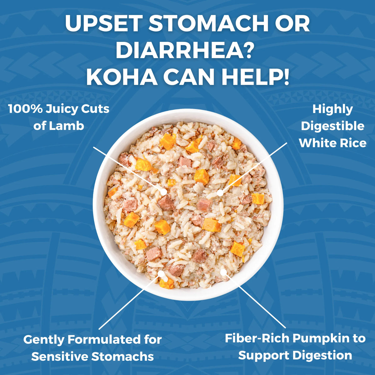 Koha Dog Bland Diet Lamb & White Rice 12.5oz-Four Muddy Paws