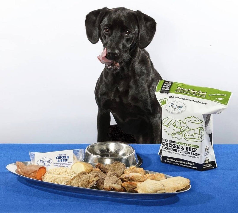 My Perfect Pet Buckaroo Puppy Blend Gently Cooked Food 4lbs-Four Muddy Paws