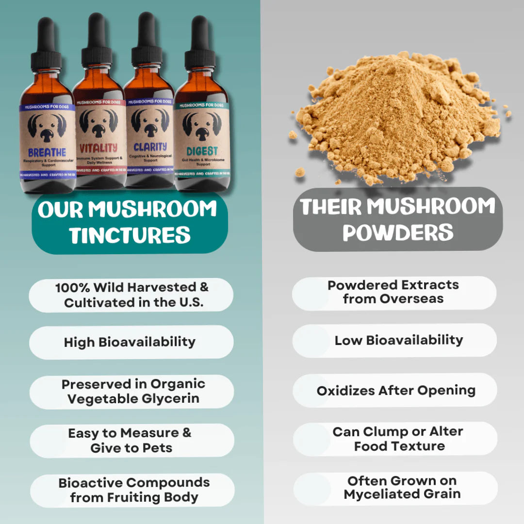 MycoDog Vitality Mushroom Tincture 2oz-Four Muddy Paws