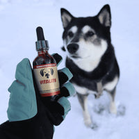 MycoDog Vitality Mushroom Tincture 2oz-Four Muddy Paws