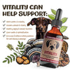 MycoDog Vitality Mushroom Tincture 2oz-Four Muddy Paws