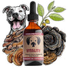 MycoDog Vitality Mushroom Tincture 2oz-Four Muddy Paws