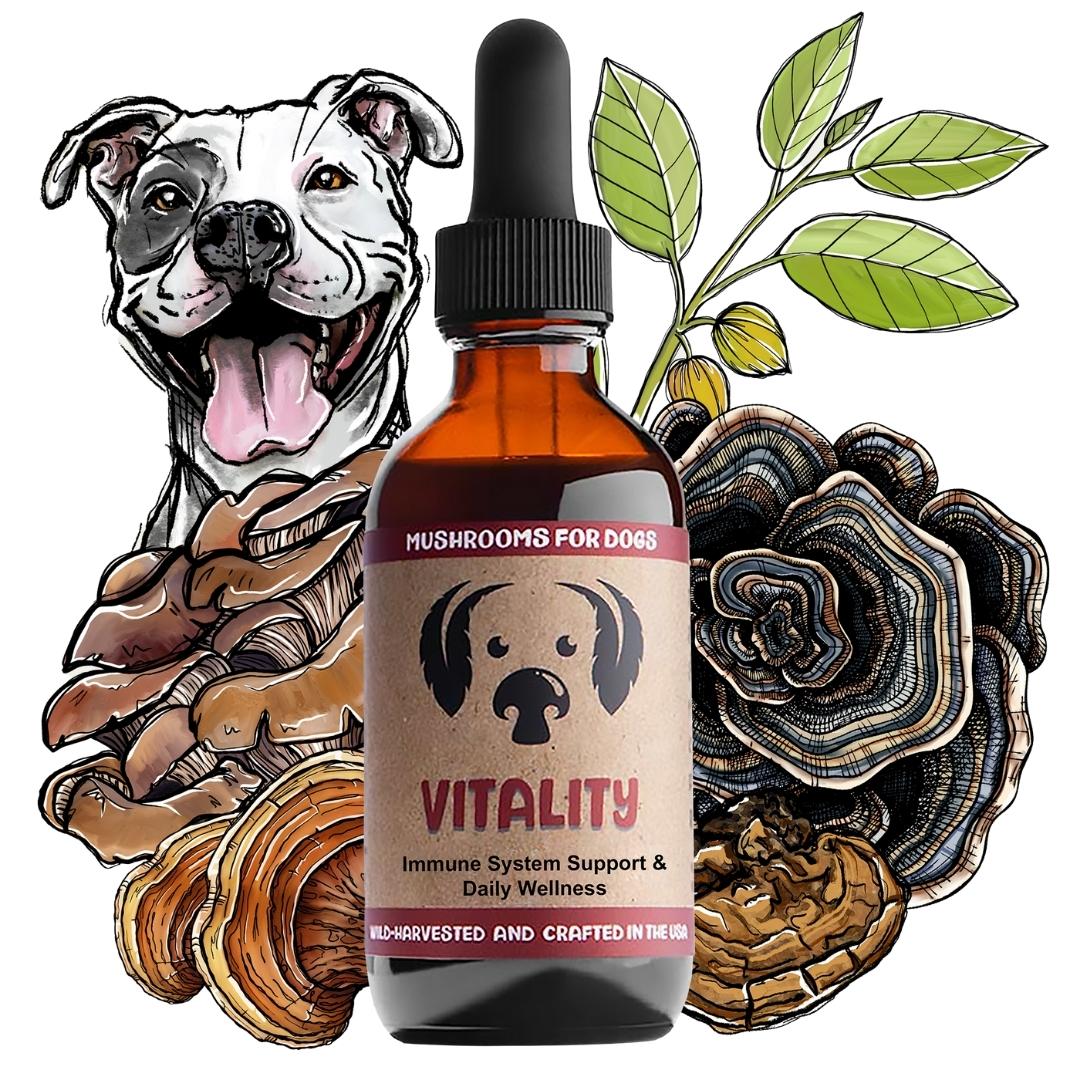 MycoDog Vitality Mushroom Tincture 2oz-Four Muddy Paws