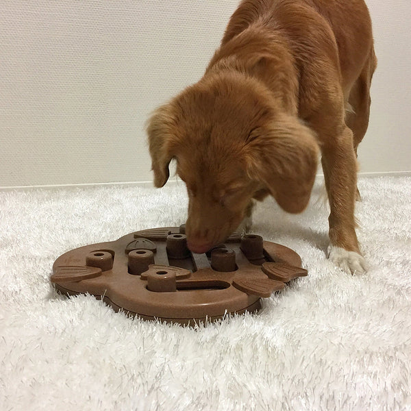 Nina Ottosson Dog Hide N'Slide Composite Puzzle Brown Level 2-Four Muddy Paws