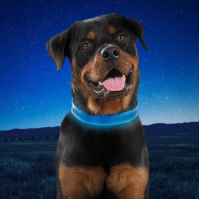 NiteDog Rechargeable LED Collar Blue Large-Four Muddy Paws