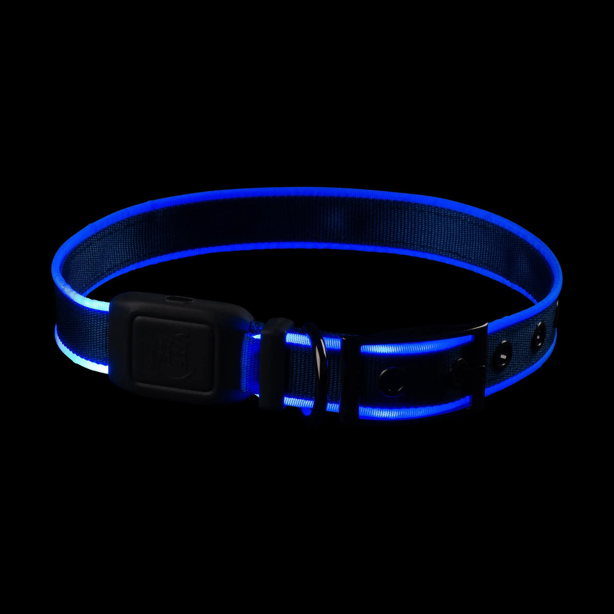 NiteDog Rechargeable LED Collar Blue Large-Four Muddy Paws