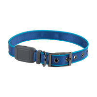 NiteDog Rechargeable LED Collar Blue Medium-Four Muddy Paws