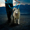 NiteDog Rechargeable LED Leash Blue-Four Muddy Paws