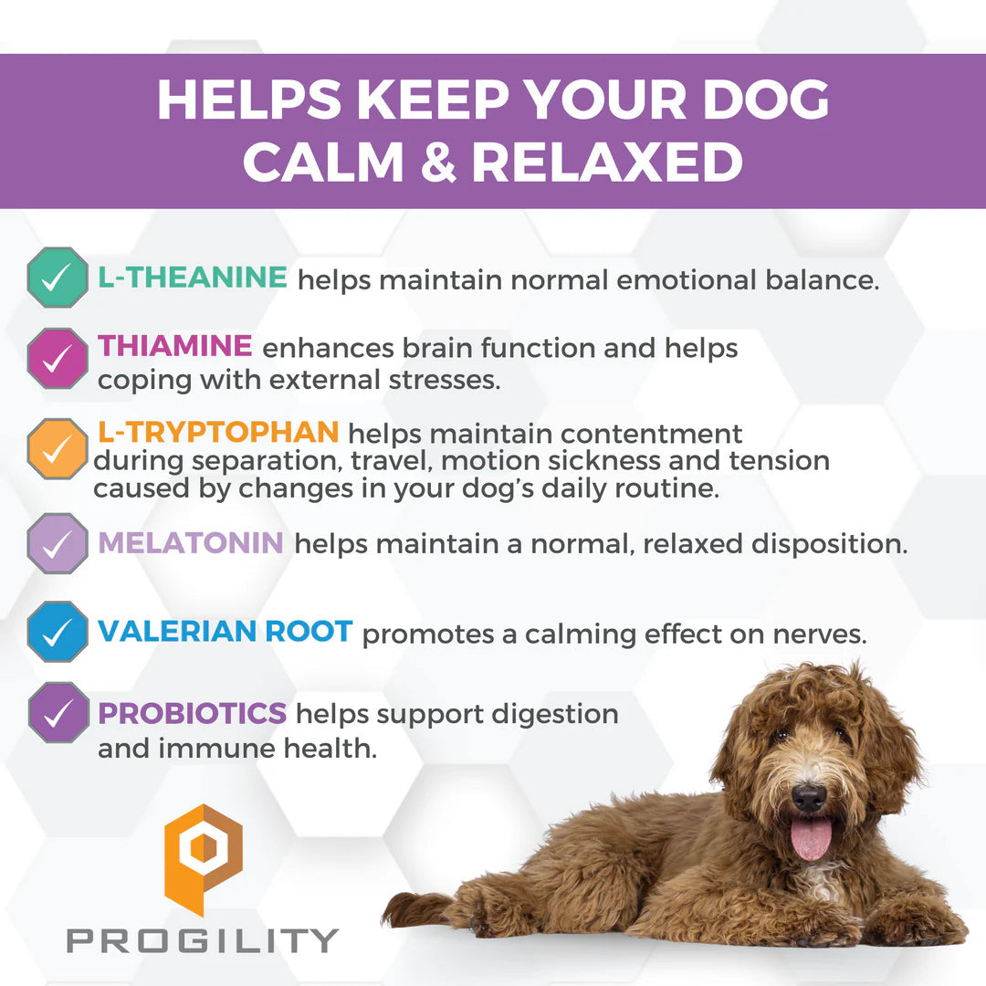 Nootie Progility Max Dog Calming Bar-Four Muddy Paws