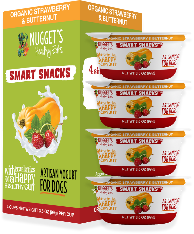 Nugget's Healthy Eats Dog Frozen Strawberry & Butternut Squash Yogurt 4oz 4pk-Four Muddy Paws