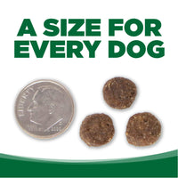 NutriSource Adult Turkey & Rice Dog Food 26lbs-Four Muddy Paws