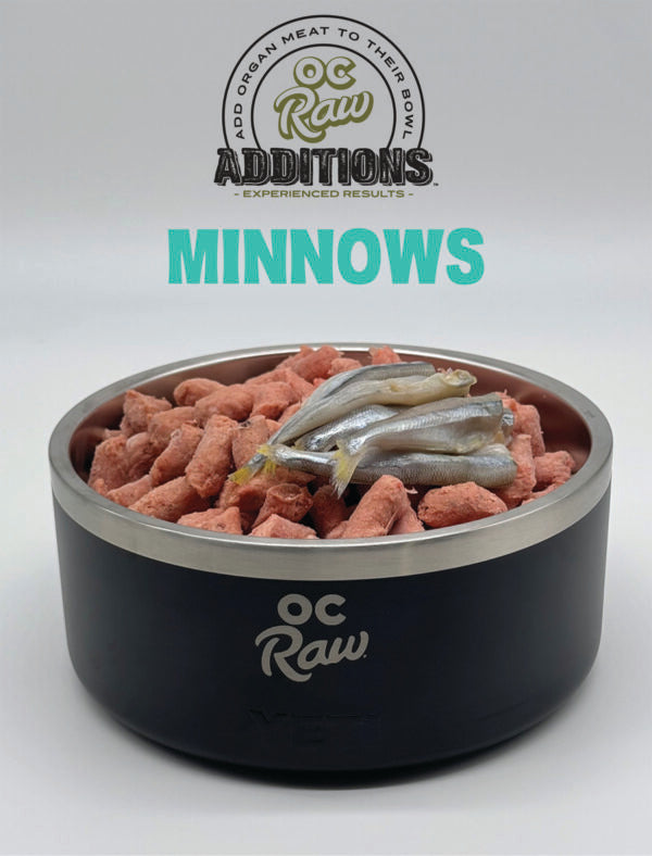 OC Raw Frozen Minnows 2lbs-Four Muddy Paws