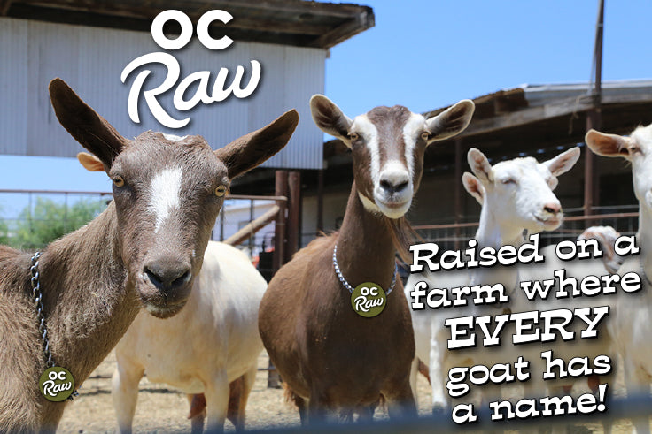 OC Raw Goat Milk 1/2 Gal-Four Muddy Paws