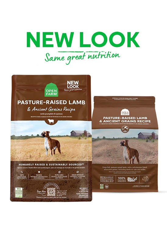 Open Farm Ancient Grain Pasture Lamb Dog Food 22lbs-Four Muddy Paws