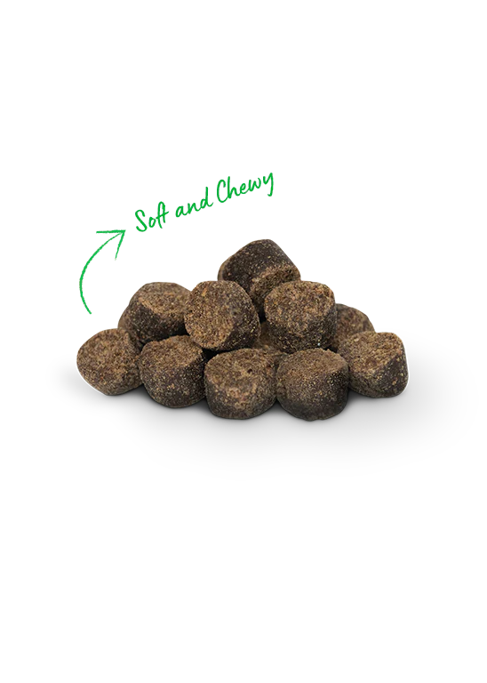 Open Farm Be Good Turkey Bites 6oz-Four Muddy Paws