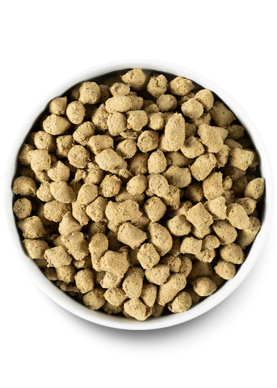 Open Farm Dog Freeze Dried Morsels Chicken 3.5oz-Four Muddy Paws