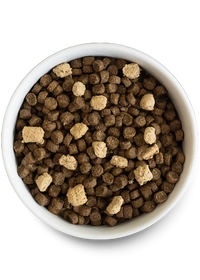 Open Farm Rawmix Ancient Grain Front Range Dog Food 3.5lbs-Four Muddy Paws