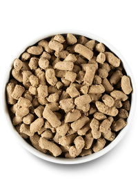 Open Farm Rawmix Tide & Terrain Freeze Dried Morsels 13.5oz-Four Muddy Paws