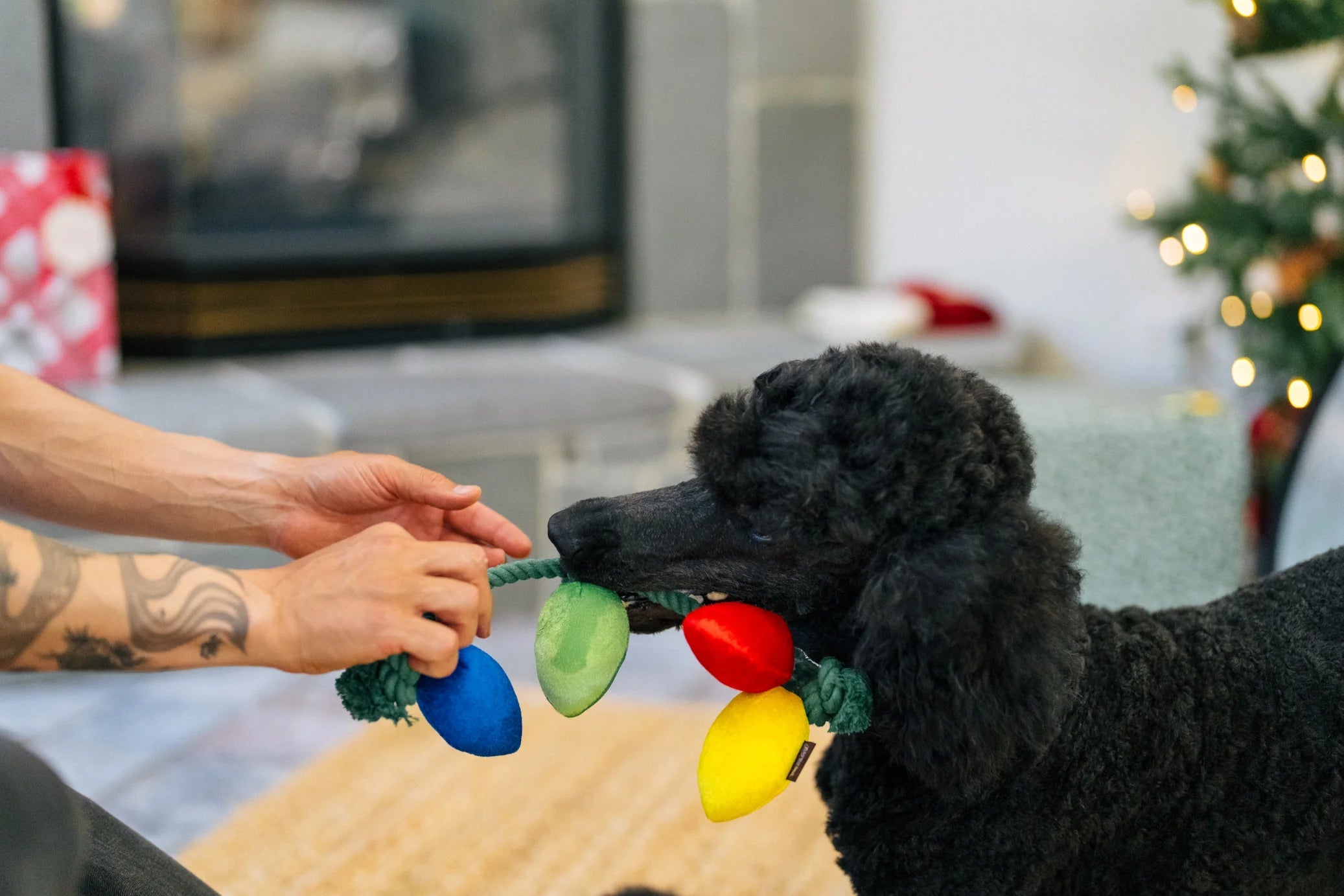 PLAY Home for the Holidays Holiday Lights Dog Toy-Four Muddy Paws