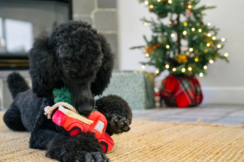 PLAY Home for the Holidays Red Truck Dog Toy-Four Muddy Paws