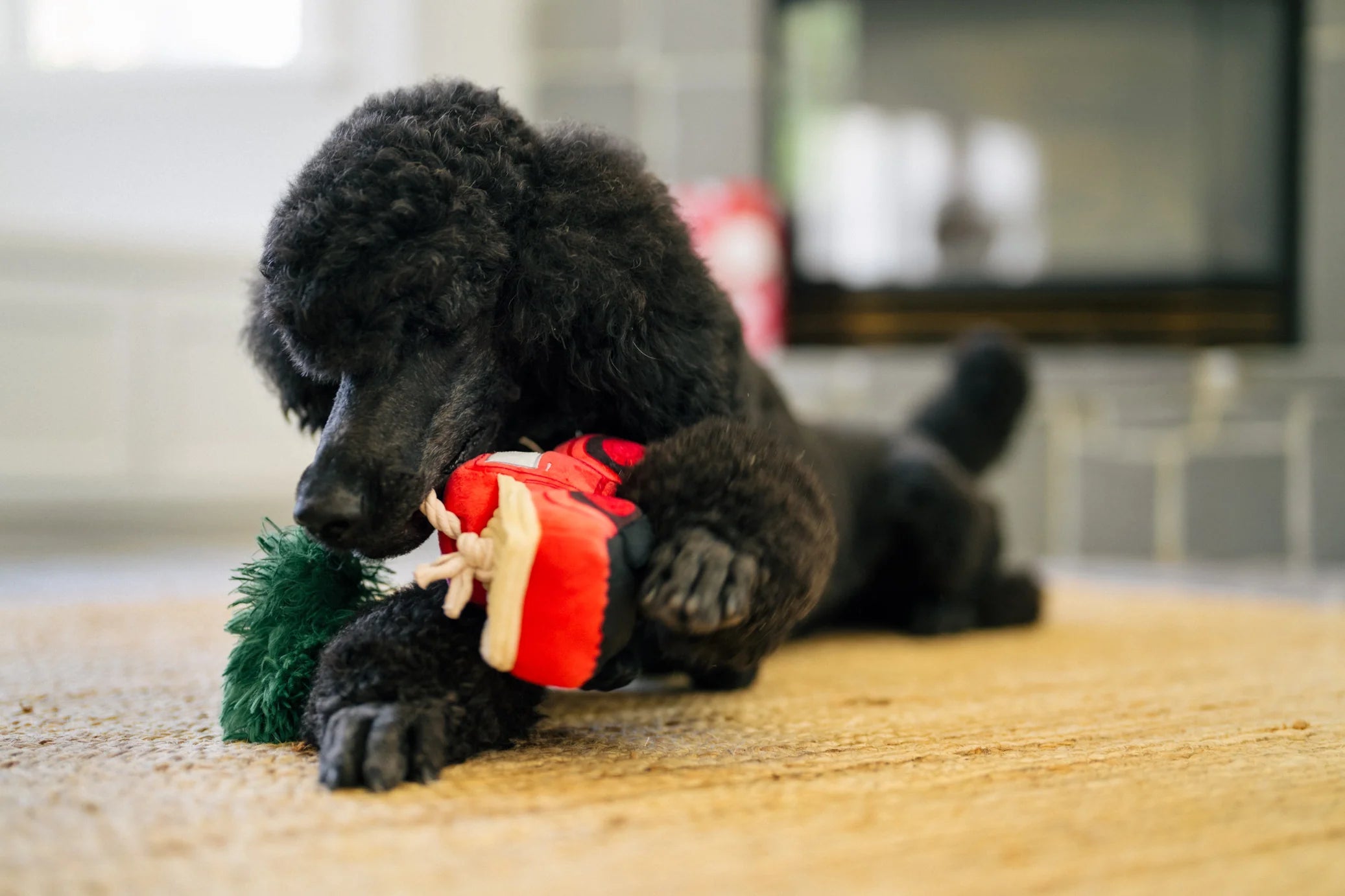 PLAY Home for the Holidays Red Truck Dog Toy-Four Muddy Paws