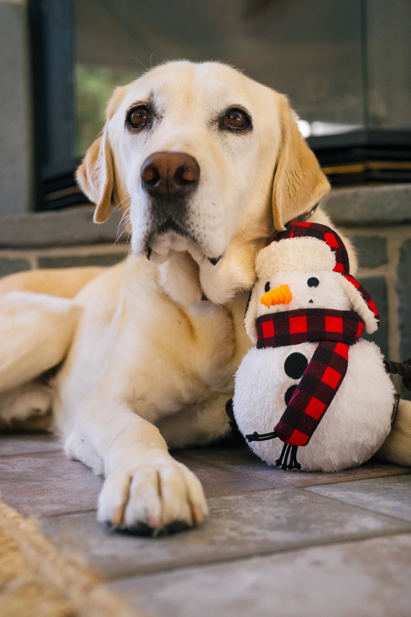 PLAY Home for the Holidays Snowman Dog Toy-Four Muddy Paws