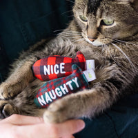 Pearhead Naughty or Nice Cat Toy Set-Four Muddy Paws
