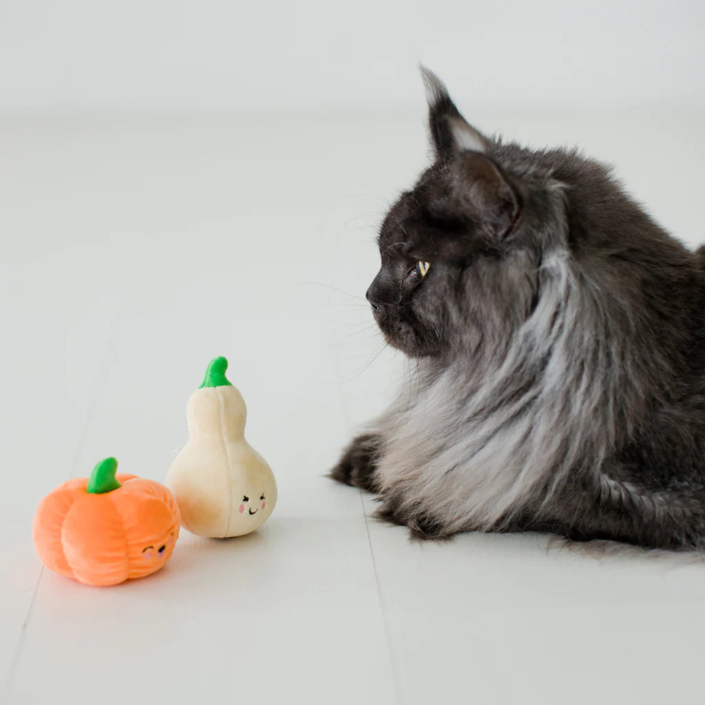 Pearhead Oh My Gourd Cat Toy-Four Muddy Paws