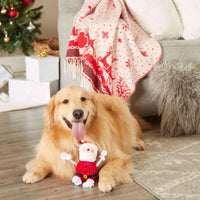 Pearhead Real Santa Claus Dog Toy-Four Muddy Paws