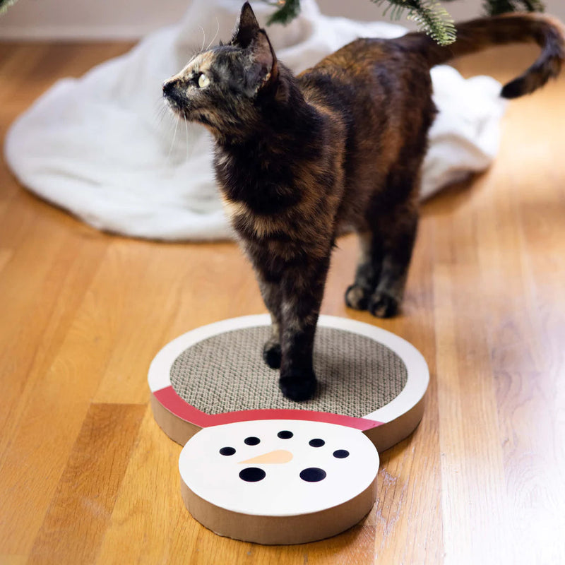 Pearhead Snowman Scratch Pad-Four Muddy Paws