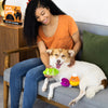 Pearhead Trick or Treat Dog Toy Set-Four Muddy Paws