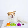 Pearhead Trick or Treat Dog Toy Set-Four Muddy Paws