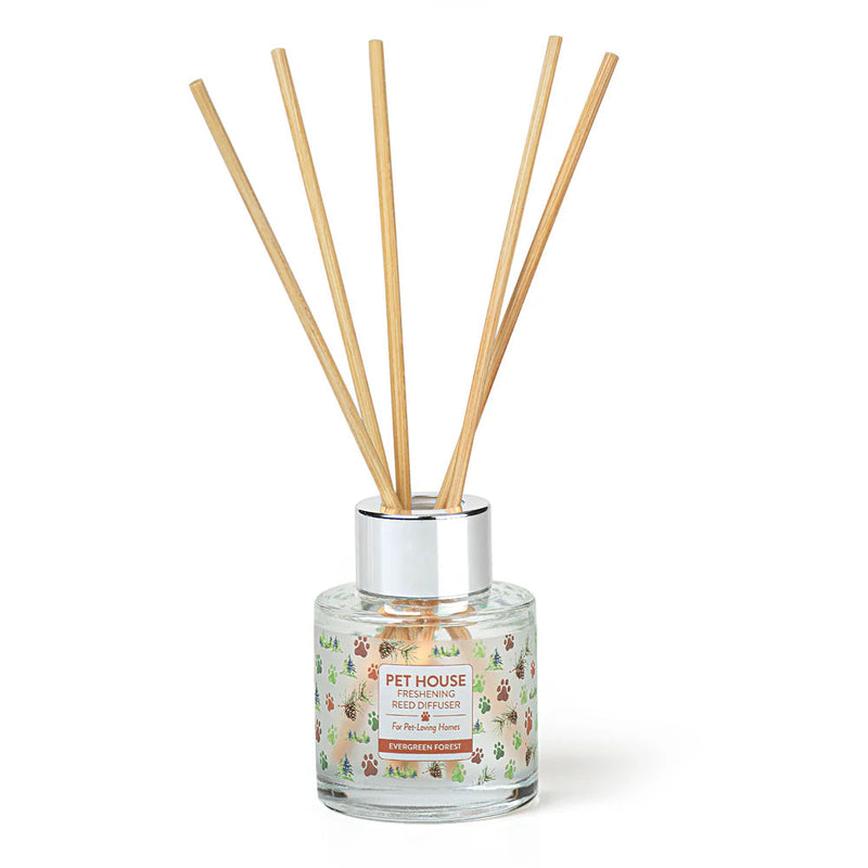 Pet House Candle Diffuser Evergreen Forest-Four Muddy Paws