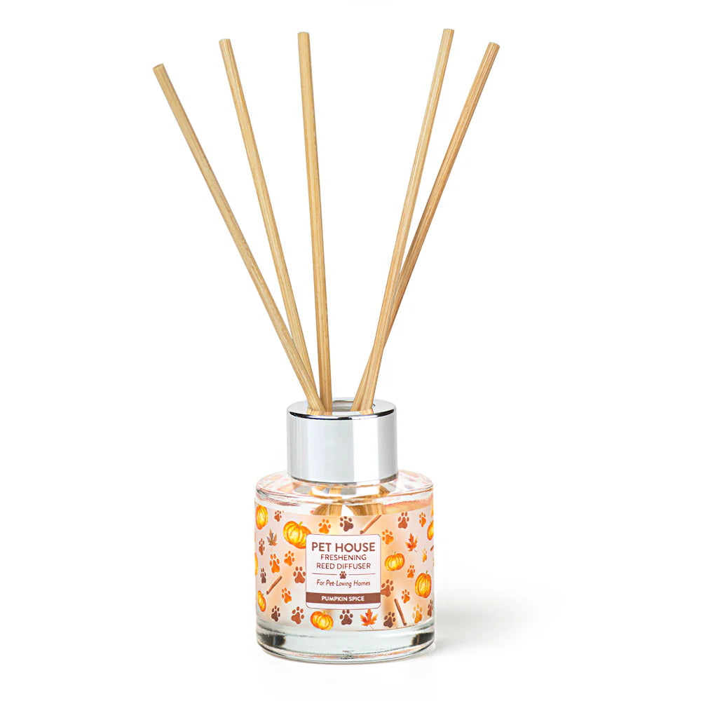 Pet House Candle Diffuser Pumpkin Spice-Four Muddy Paws