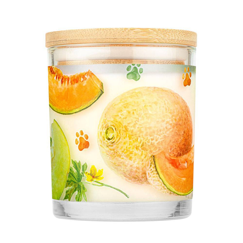 Pet House Candle Juicy Melon 9oz Jar-Four Muddy Paws