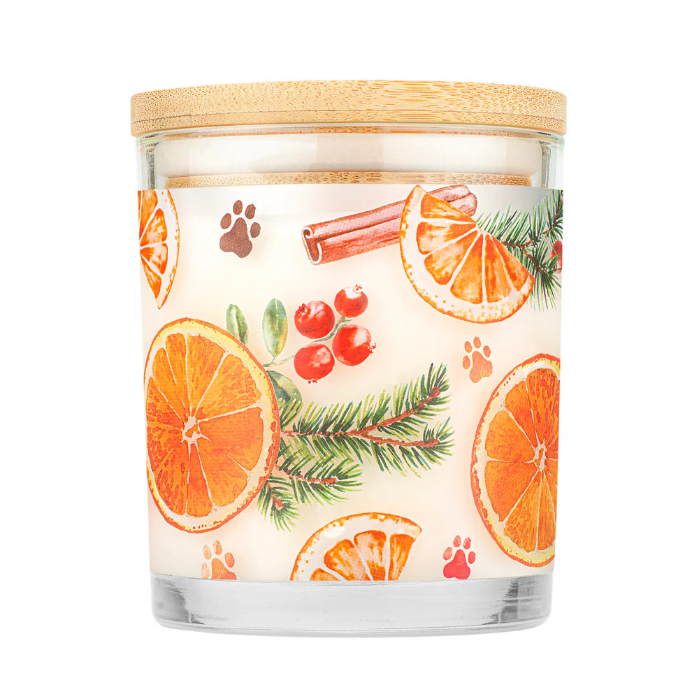 Pet House Candle Orange Spice 9oz Jar-Four Muddy Paws