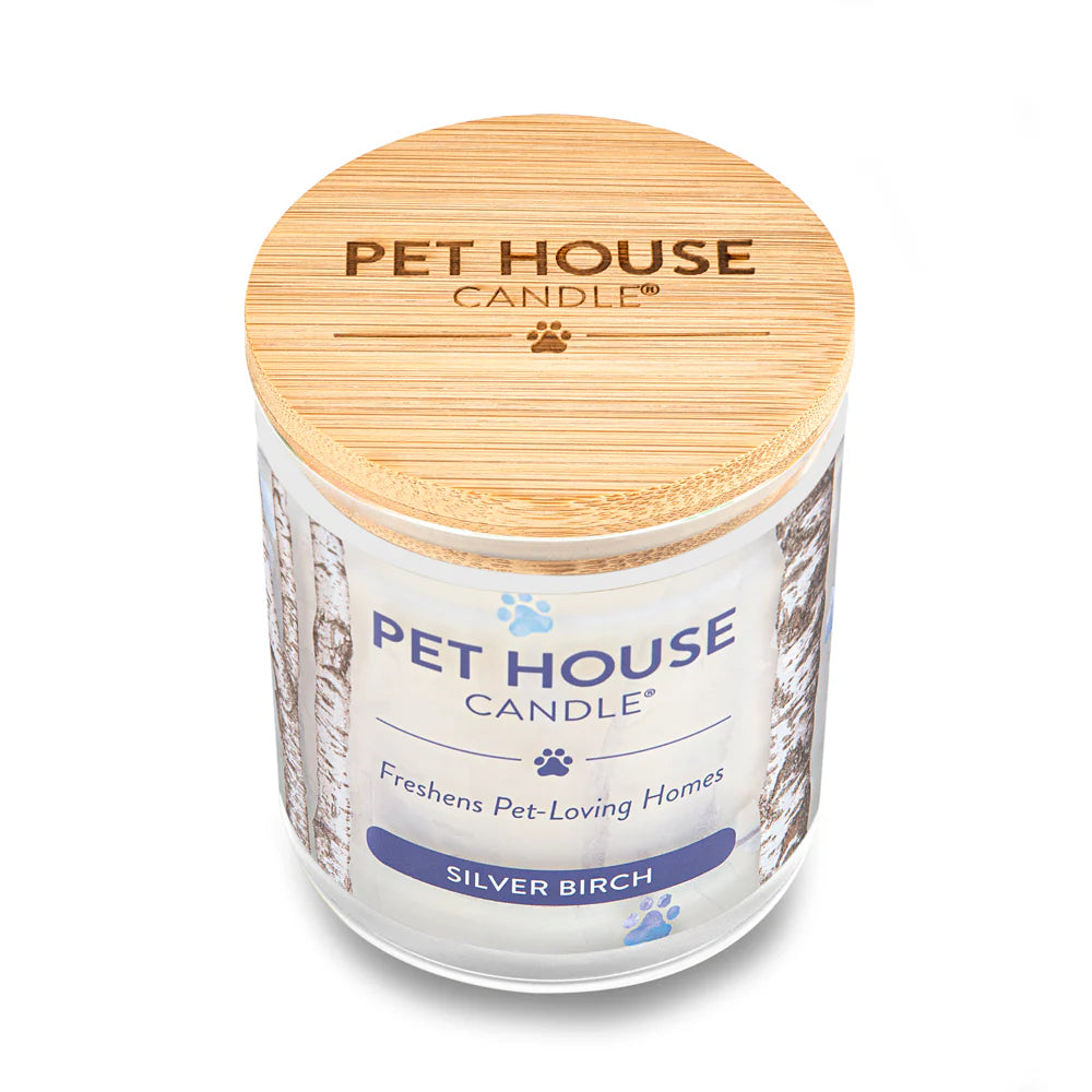 Pet House Candle Silver Birch 9oz Jar-Four Muddy Paws