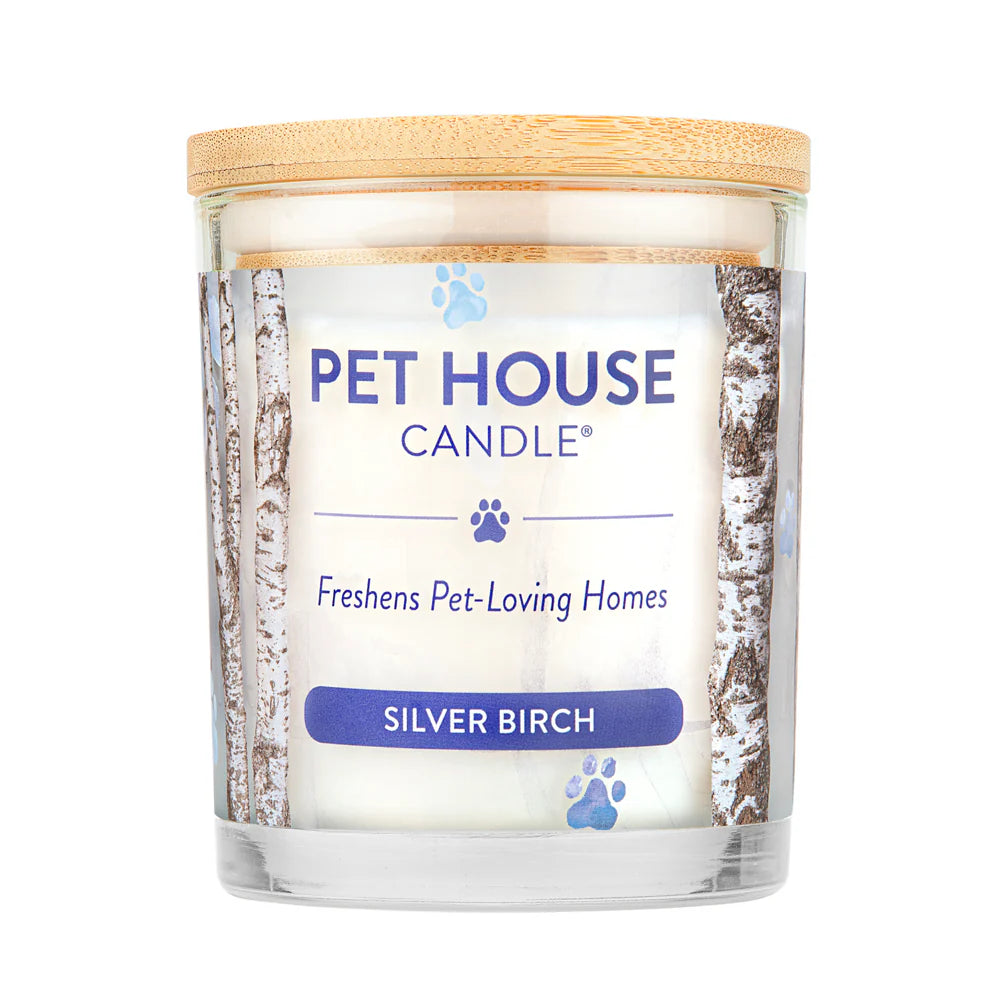 Pet House Candle Silver Birch 9oz Jar-Four Muddy Paws