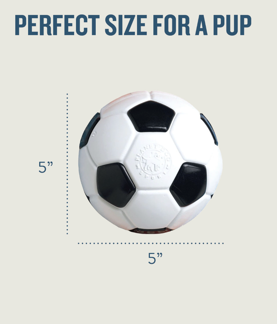 Planet Dog Orbee Soccer Ball Toy-Four Muddy Paws