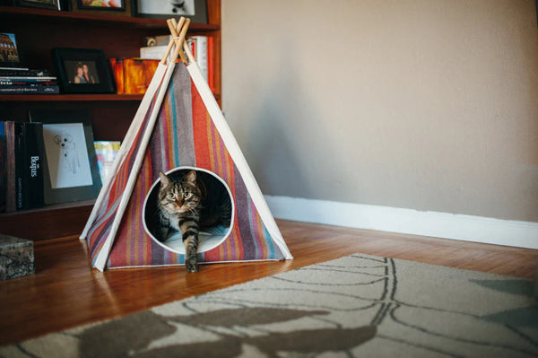 Play Teepee Horizon Desert Bed Small-Four Muddy Paws