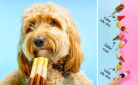 Pup Ice Choccy Lollies Peanut & Chocolate Treat 2pk-Four Muddy Paws