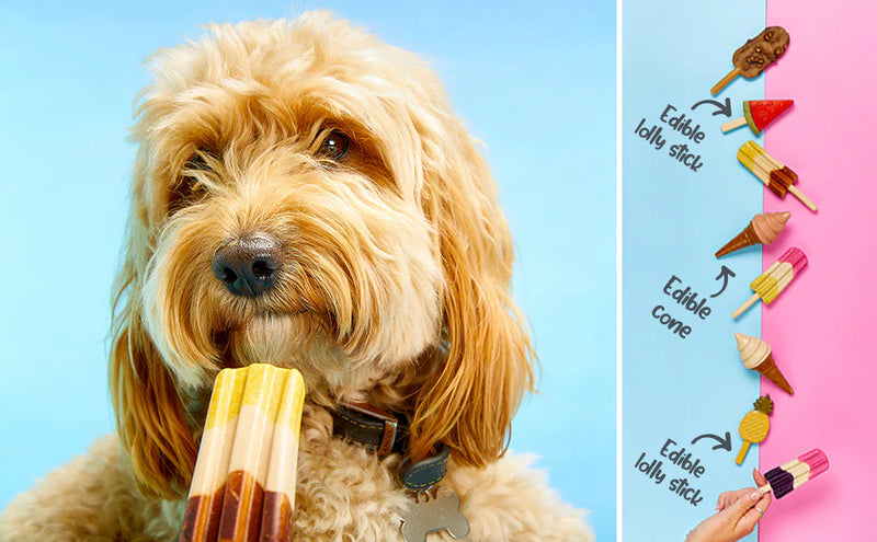 Pup Ice Choccy Lollies Peanut & Chocolate Treat 2pk-Four Muddy Paws