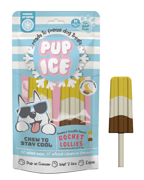 Pup Ice Rocket Lollies Banana & Chocolate Treat 2pk-Four Muddy Paws