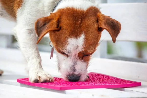 SodaPup Emat Flower Power Pink Small-Four Muddy Paws